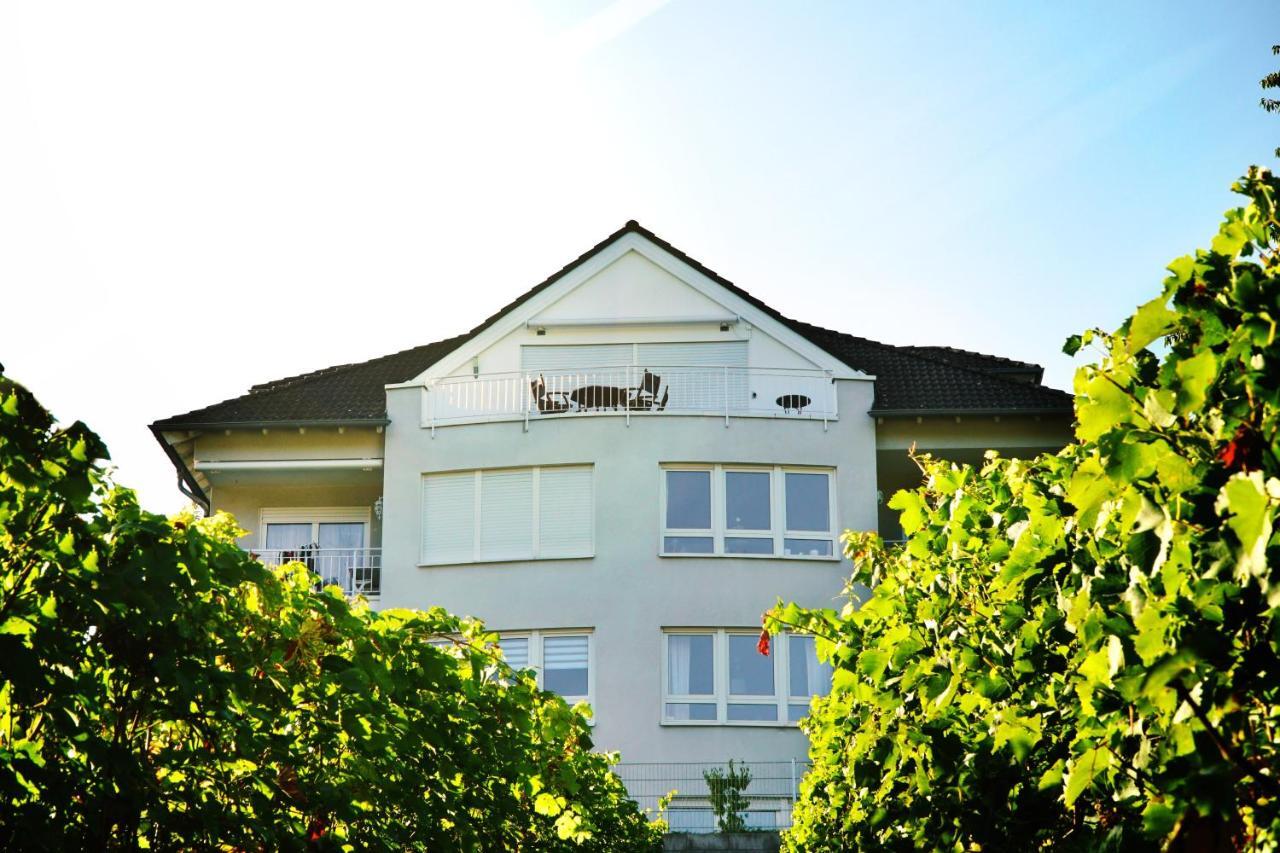Apartmán Panorama Traumblick Bernkastel-Kues Exteriér fotografie